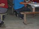 IMG_3262.JPG